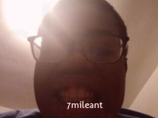 7mileant