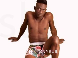 ANTHONYBUIL