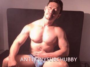 ANTHONYSUBCHUBBY