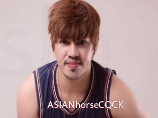 ASIANhorseCQCK