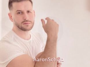 AaronSchulz