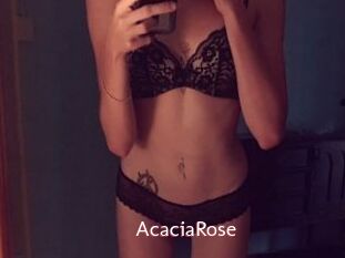 AcaciaRose
