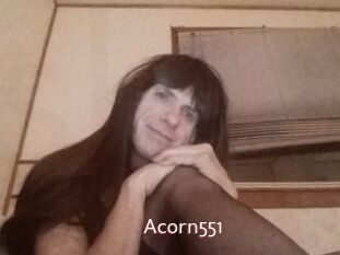 Acorn551