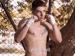 AdamBull
