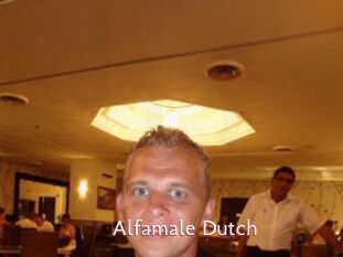 Alfamale_Dutch