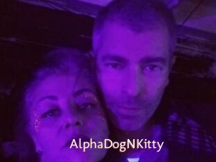 AlphaDogNKitty