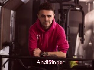 AndiSinner