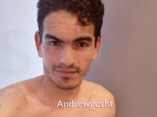 Andrewgosht