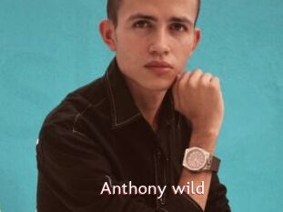 Anthony_wild