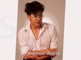 Antinoo_ditella