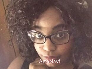 AriaNavi