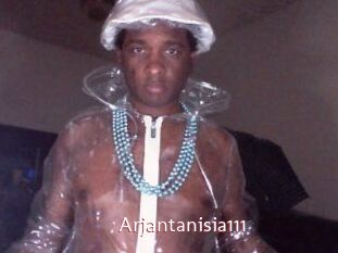 Arjantanisia111