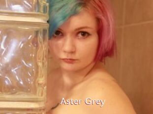 Aster_Grey
