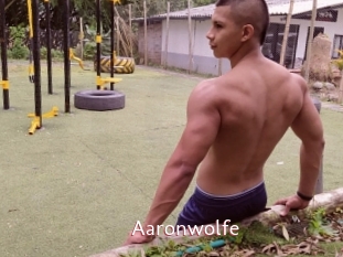Aaronwolfe