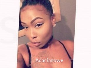 Acacia_rowe