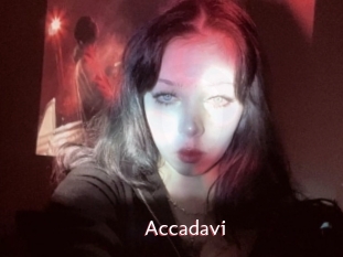 Accadavi