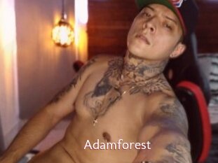 Adamforest