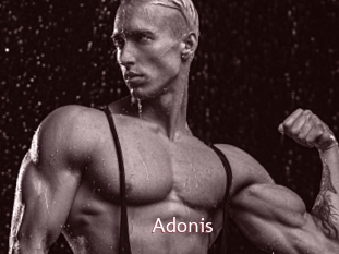adonis_ Sweet links only