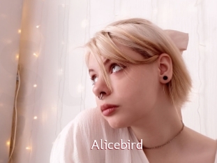 Alicebird
