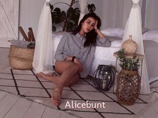 Alicebunt