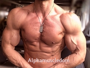 Alphamuscledom
