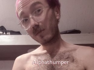 alphathumper Sweet links only