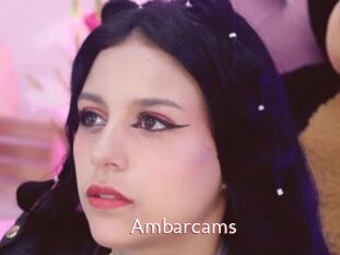 Ambarcams
