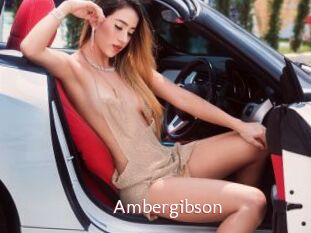 Ambergibson