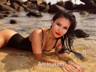 Aminakeen