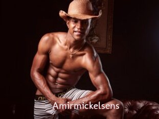 Amirmickelsens