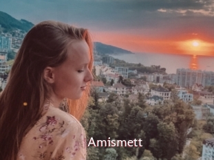 Amismett