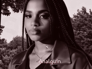 Analquin