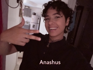 Anashus
