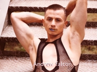 Andrew_falcon