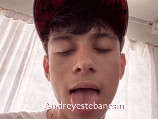 Andreyestebancam