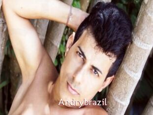 Andrybrazil