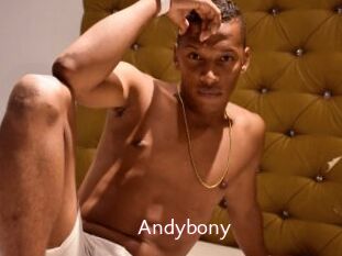 Andybony