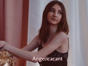 Angelicacant