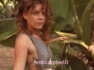 Aniccaspinelli