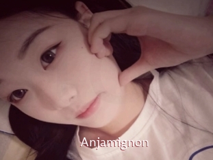 Anjamignon