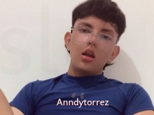 Anndytorrez