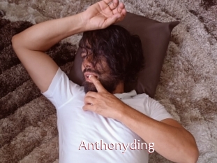 anthonyding Sweet links only