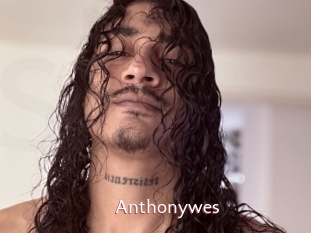 Anthonywes