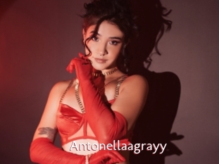 Antonellaagrayy