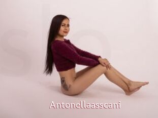 Antonellaasscani