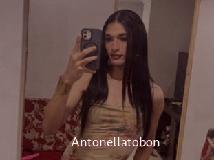 Antonellatobon