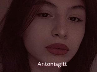 Antoniagitt