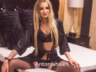 Antoniahaart