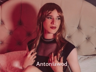 Antoniawod