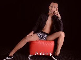 Antonip